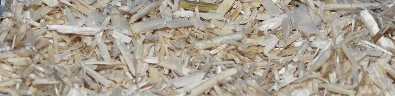 Litière de chanvre pour rats