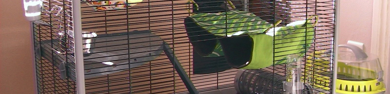Cage Furet+ pour rats
