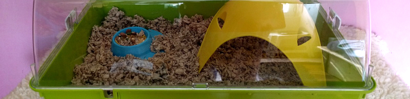 Cage de maternité pour rat