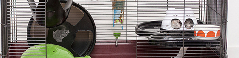 Cage de maternité pour rat