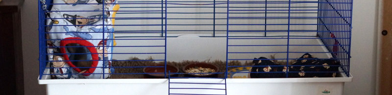 Cage pour vieux rat