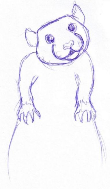 Syndrome vestibulaire rat