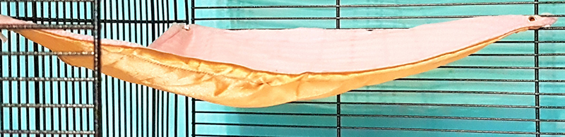 Hamac triangle rat
