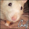 Chaly