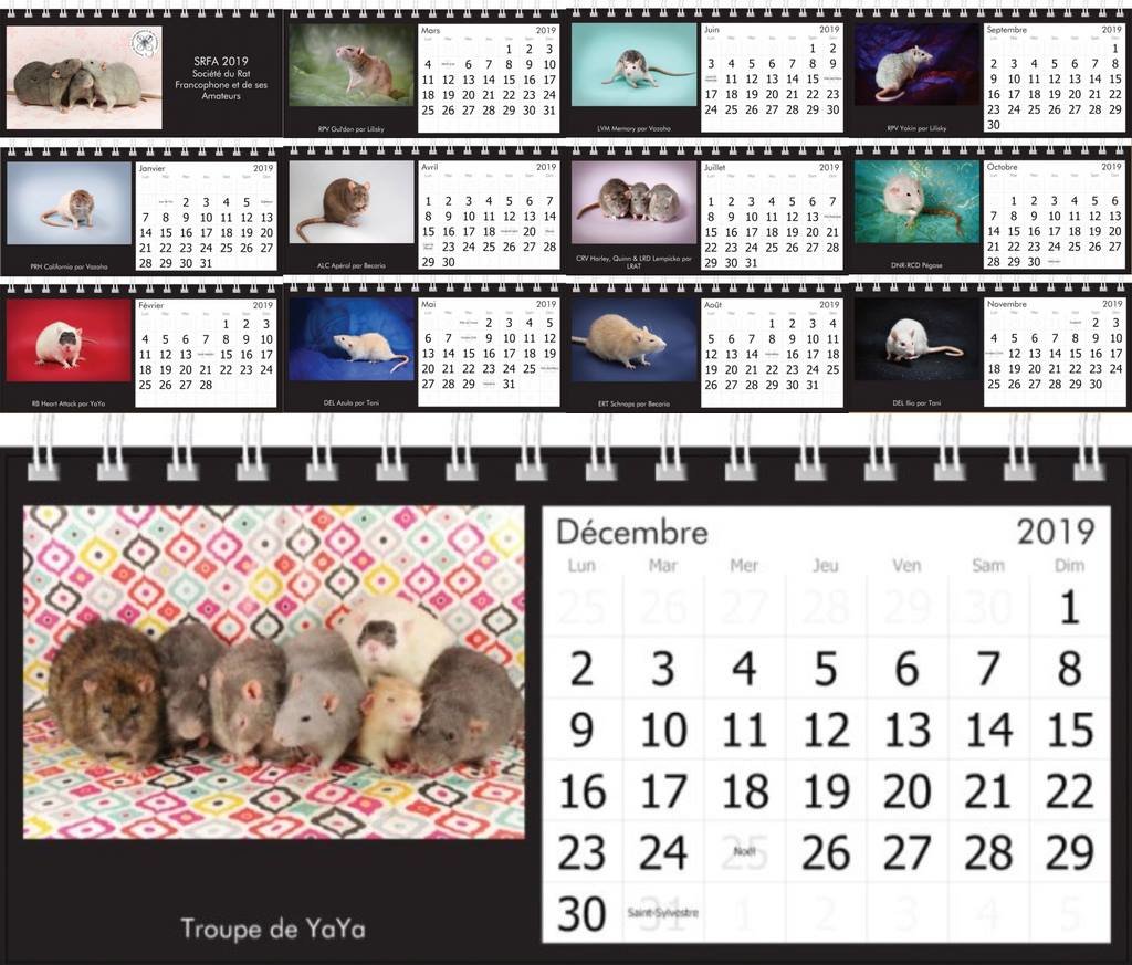 Clôture des ventes du calendrier 2019