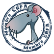 homepage_mascotte.png