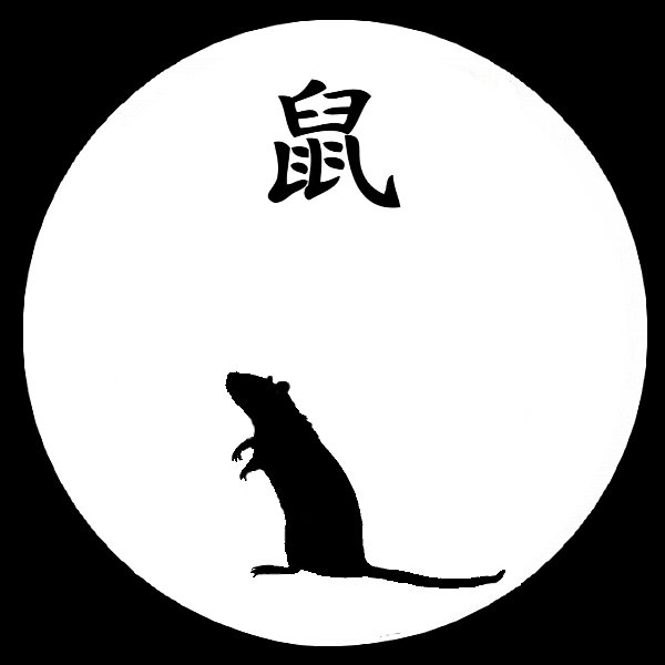 OMBRE_CHINOISE_RAT.jpg