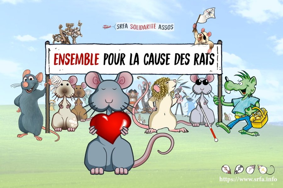 Rats célèbres (Rémy de Ratatouille, Rattus, Rapido et Razmo...) et Mascottes SRFA (dont une avec des pansements, et une avec des lunettes noires et une canne blanche) sous une banderole "Ensemble pour la cause des rats"