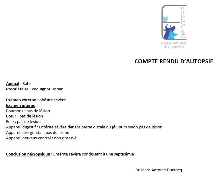 Rapport Autopsie Rainbow.JPG