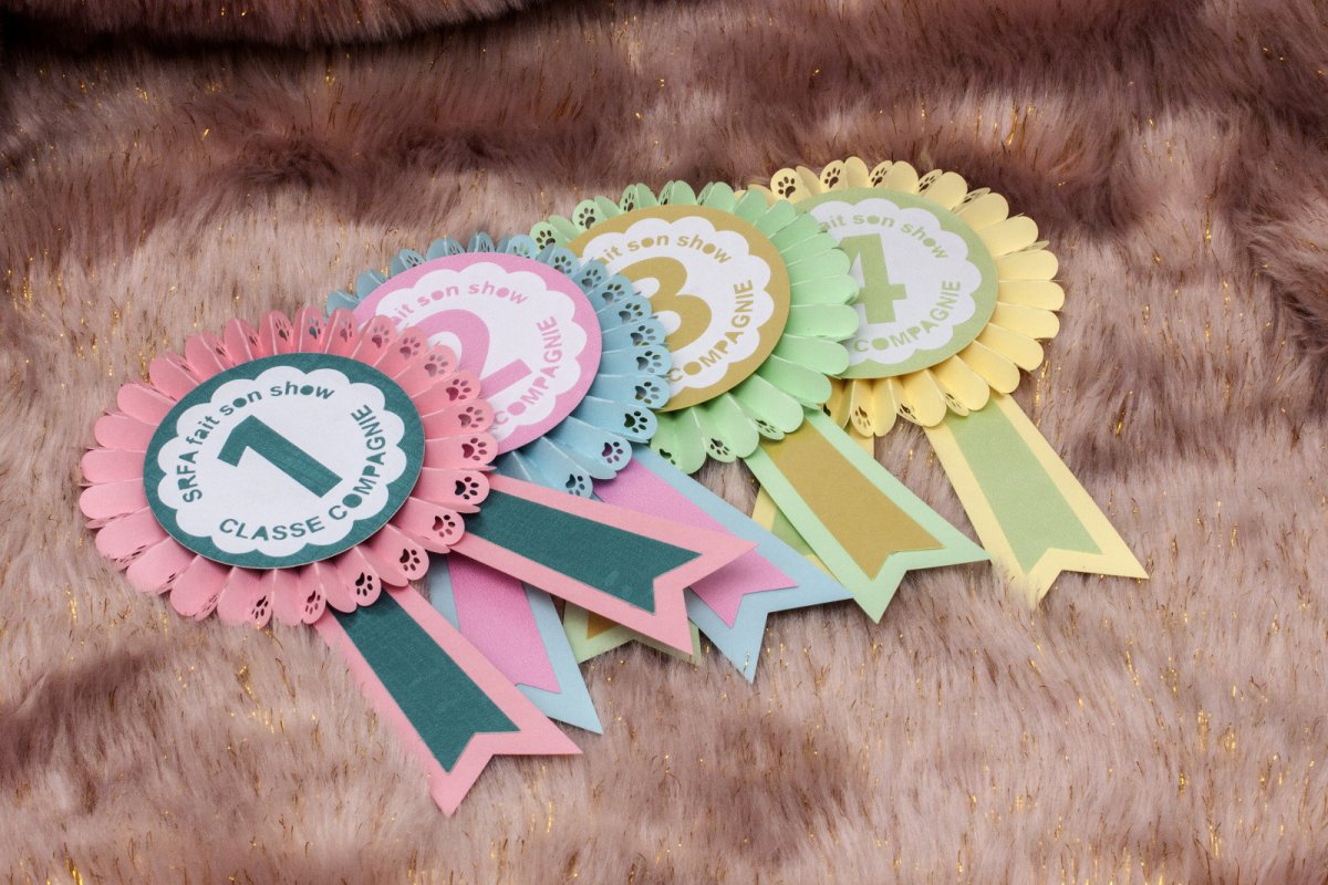 NEW_Rosettes1.jpeg
