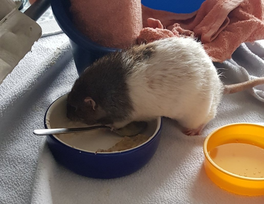 20201030_103325 - Copie.jpg