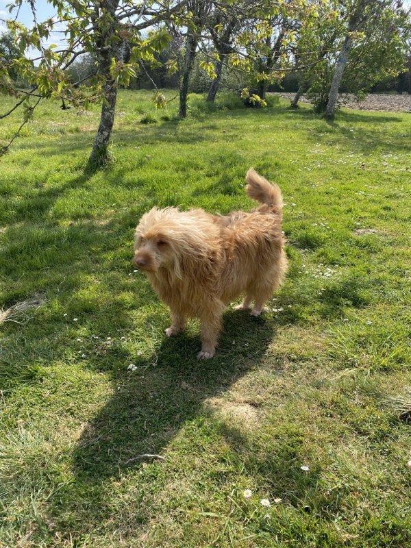 photo_2021-04-19 18.01.23.jpeg