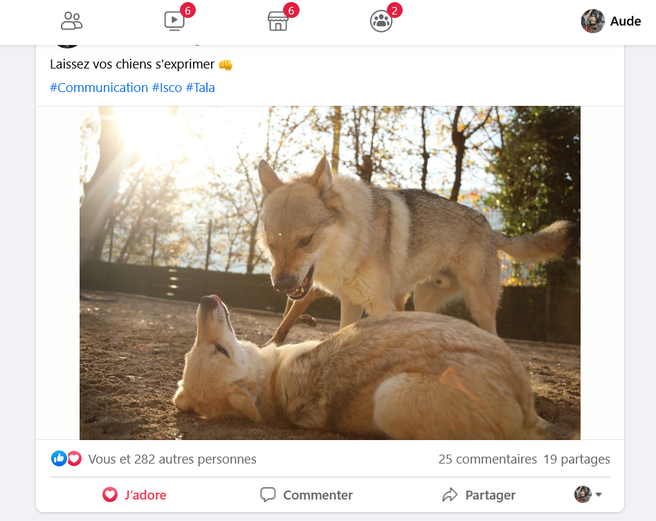 Screenshot 2021-12-10 at 10-13-56 SKY DOG Facebook.png