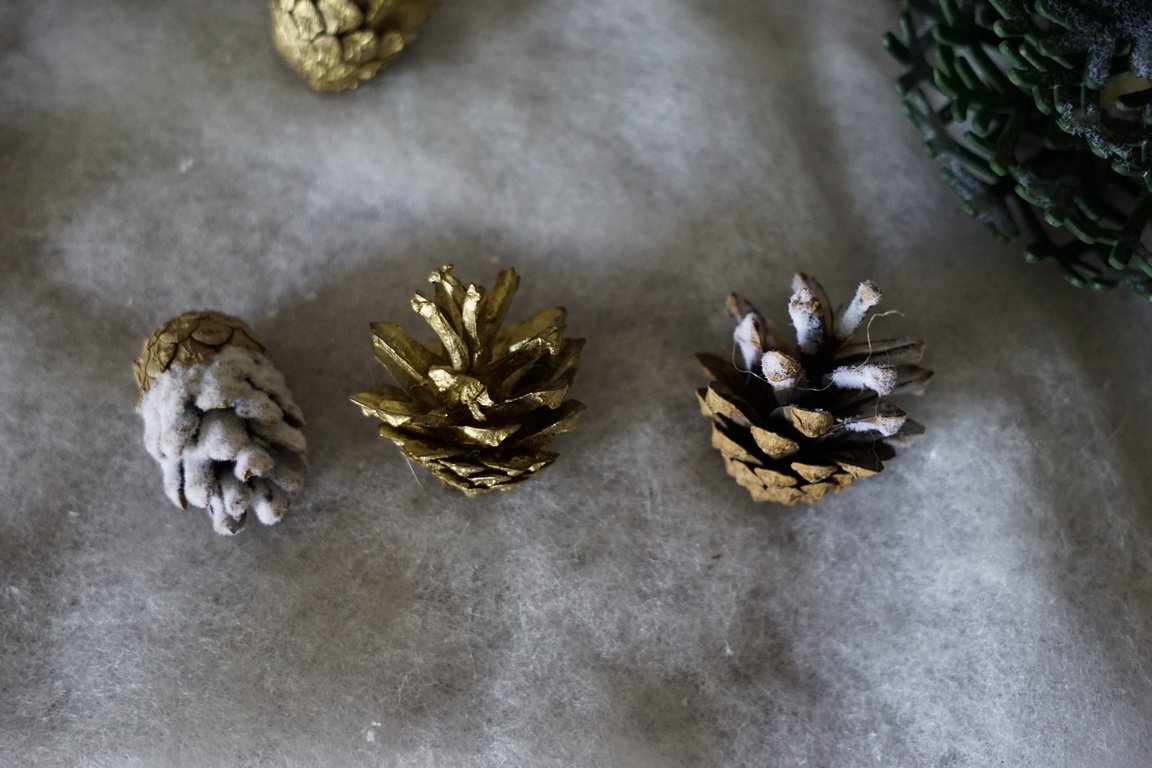 _DSC9145 (Copier).JPG