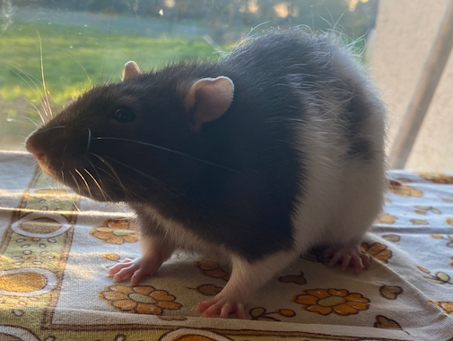 Drobo - 27.02.22.png