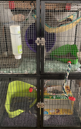 Capture d’écran 2022-02-20 à 16.17.23.png