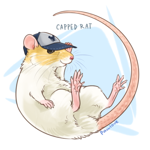 Capped.png