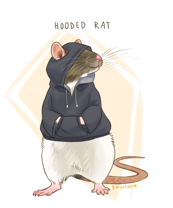 Hooded.png