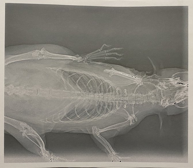 Elixir radio 26.03.22.jpg