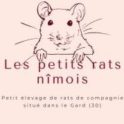 Les petits rats Nîmois