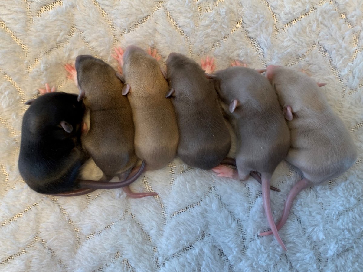 2022-03-26 11-28-37 f.jpeg