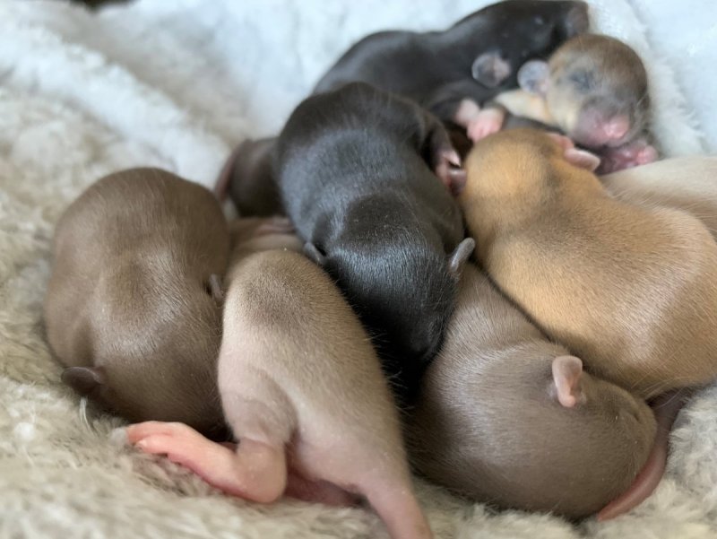 2022-03-26 11-45-44.jpeg