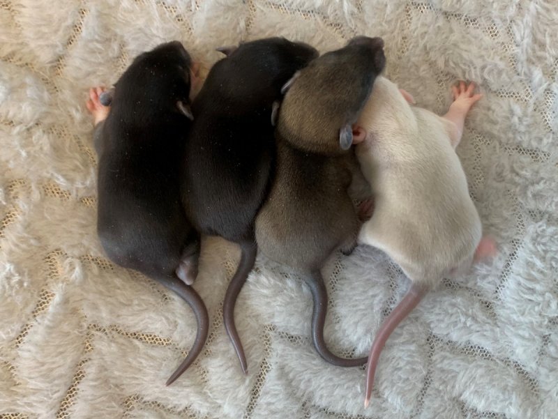 2022-03-26 11-27-01 m.jpeg