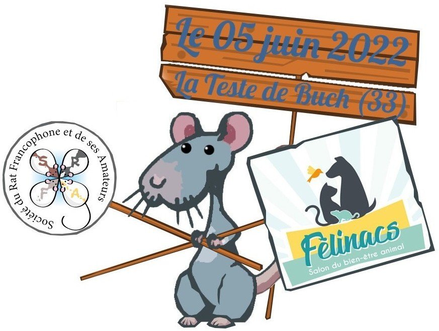 felinac expo jour 1.jpg