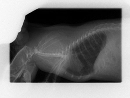 KISS 2022 05 25 (1).jpg