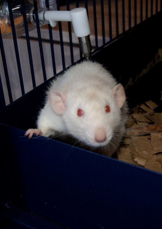 Interview Trésors de Smaug 2REDIMENTIONNE.jpg