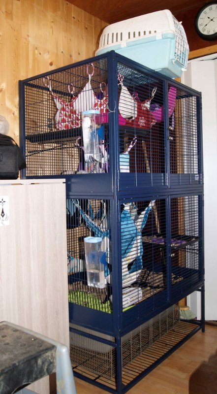 Interview Trésors de Smaug 1.jpg