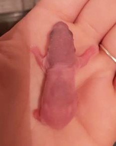 Deuxième jour - Les trésors de Smaug.jpg