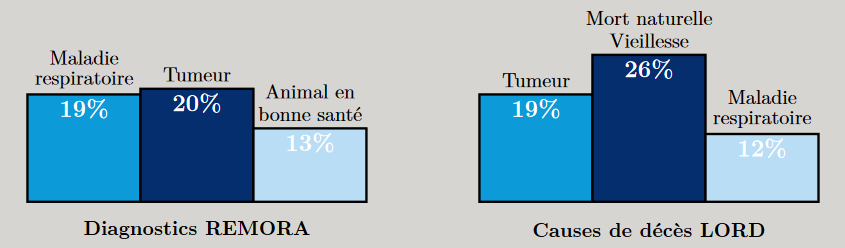 Screenshot 2022-07-22 at 14-53-25 L'Echo_des Sputniks_N°2_Avril_2018.pdf.png