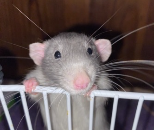 Capture d’écran 2022-10-22 à 23.16.14.png