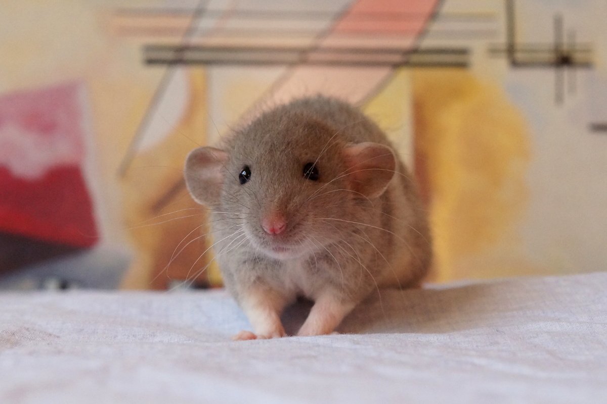 J35_F7.1.jpg.1d3d39c7ec9de3a0680ada0d360