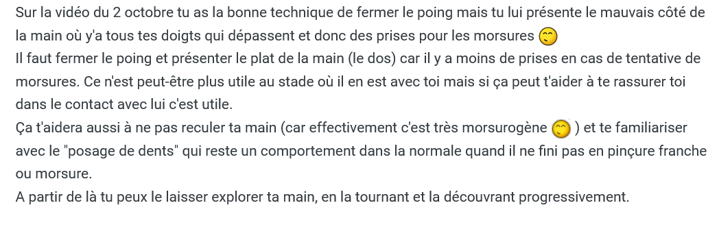 Screenshot 2023-12-10 at 22-49-08 Rat mordeur.png