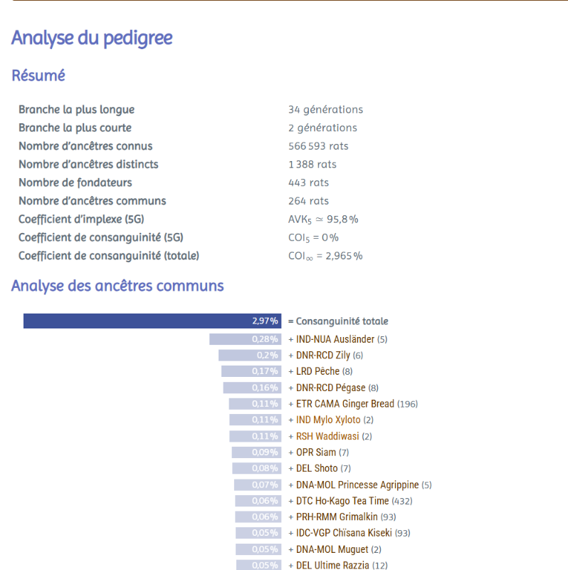 Capture d'écran 2025-07-13 110255.png