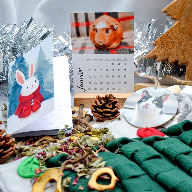 Box de Noël pour lapin, cochon d'inde, rat et souris Chroniques Animales.jpg