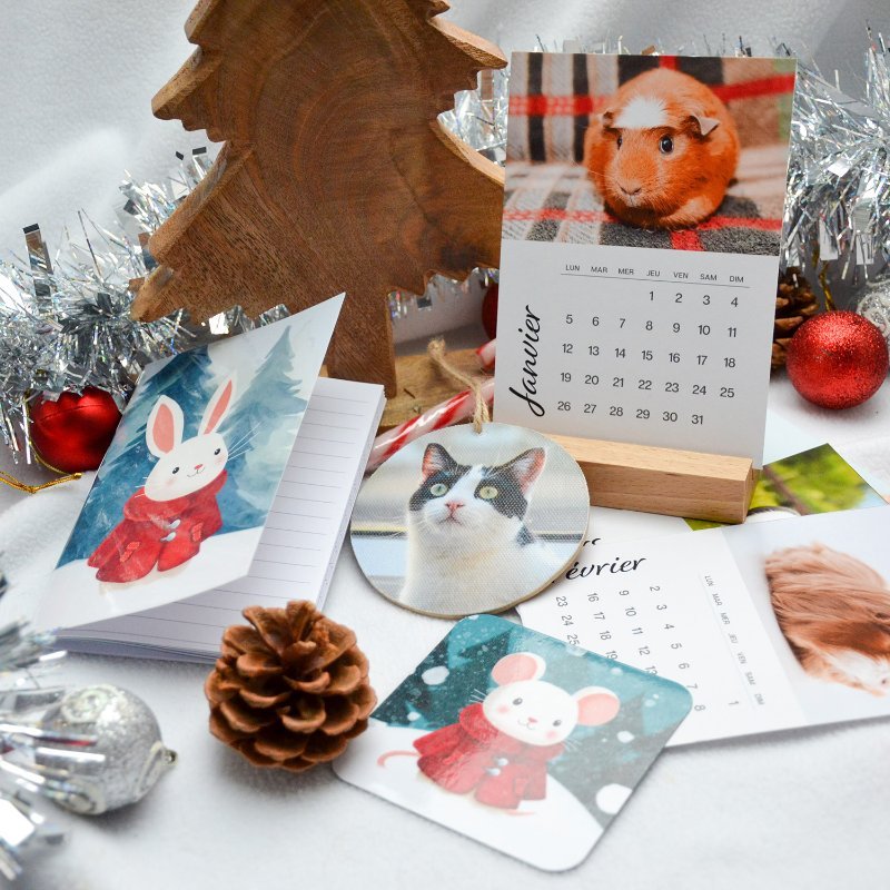 Box de Noël pour nac, avec magnet, carnet de notes, suspension déco de sapin et calendrier photo Chroniques Animales.jpg
