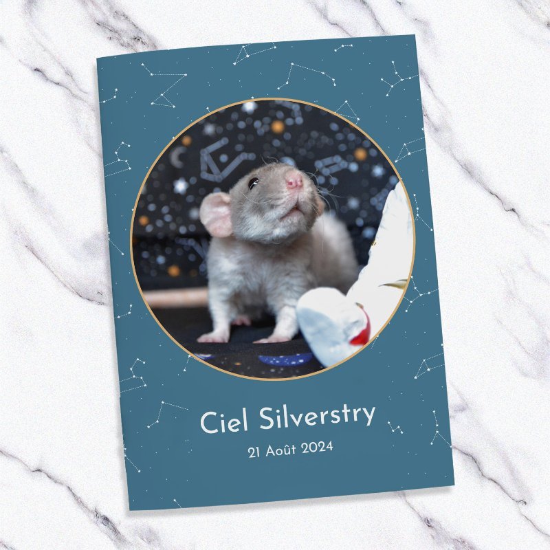 Carnet de sante pour rat avec photo theme espace.jpg