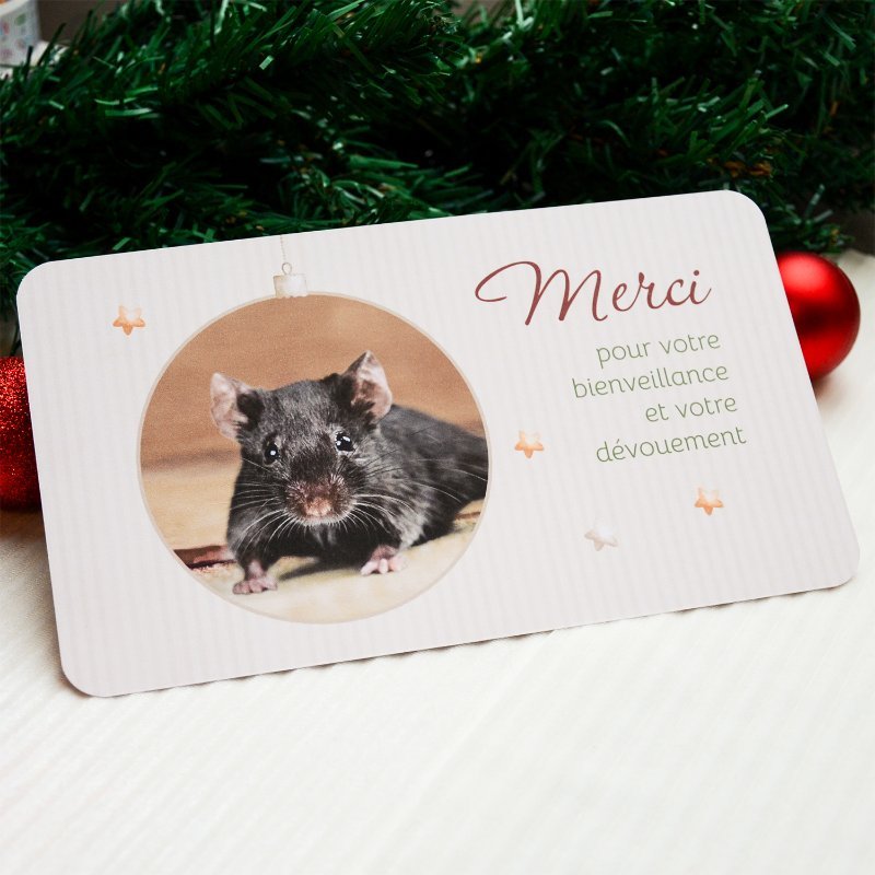 Carte de remerciement vétérinaire personnalisée.jpg