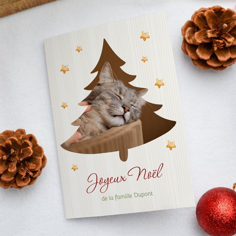 Carte de voeux Noël avec photo.jpg