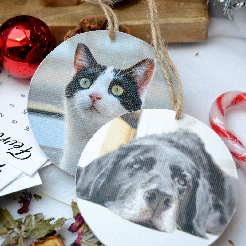 Suspension déco de sapin avec photo des animaux dans la box de Noël Chroniques Animales.jpg