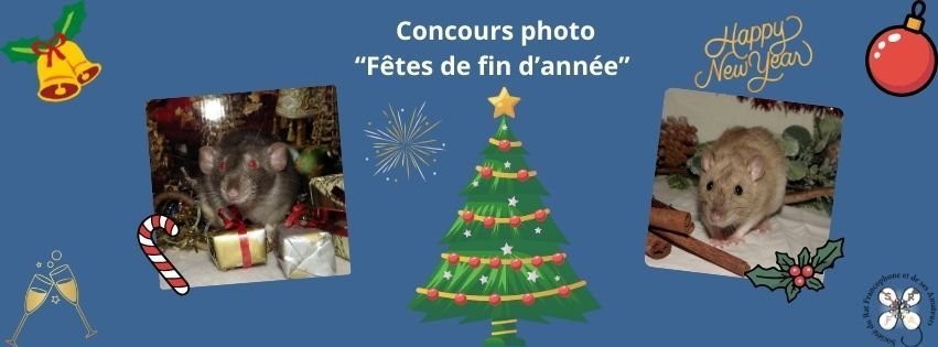 Concours photo Fêtes de fin d'année 2025