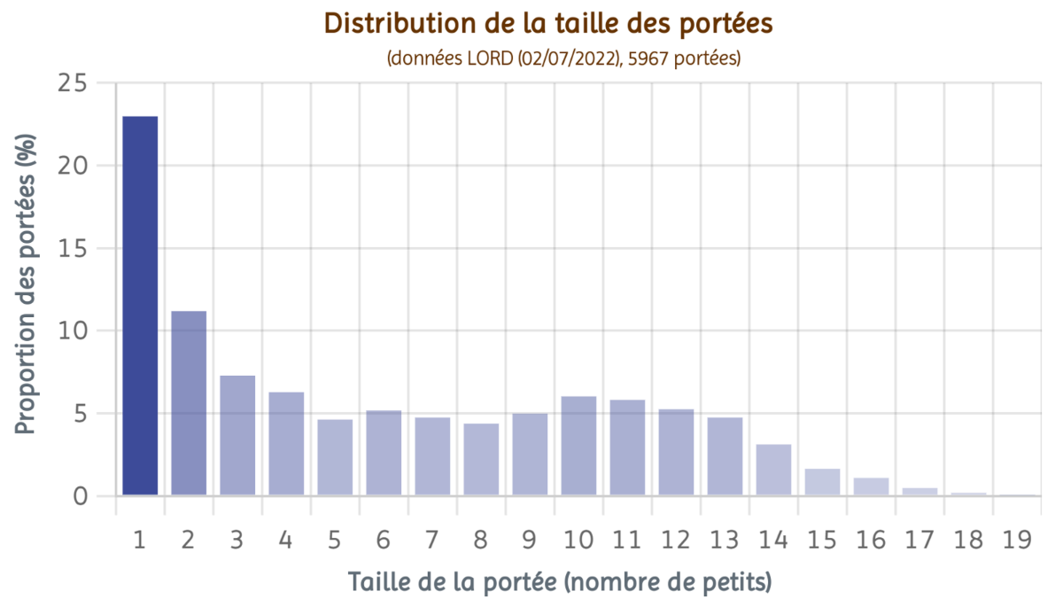 NEW TaillePorteesGraphe.png