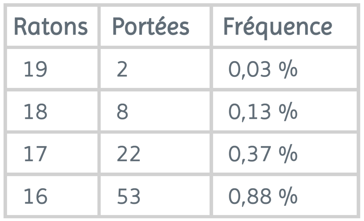 NEW TaillePorteesTableau.png
