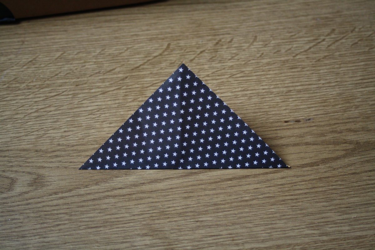 Origami_Etape2_fig.1_Bellefeegore.JPG