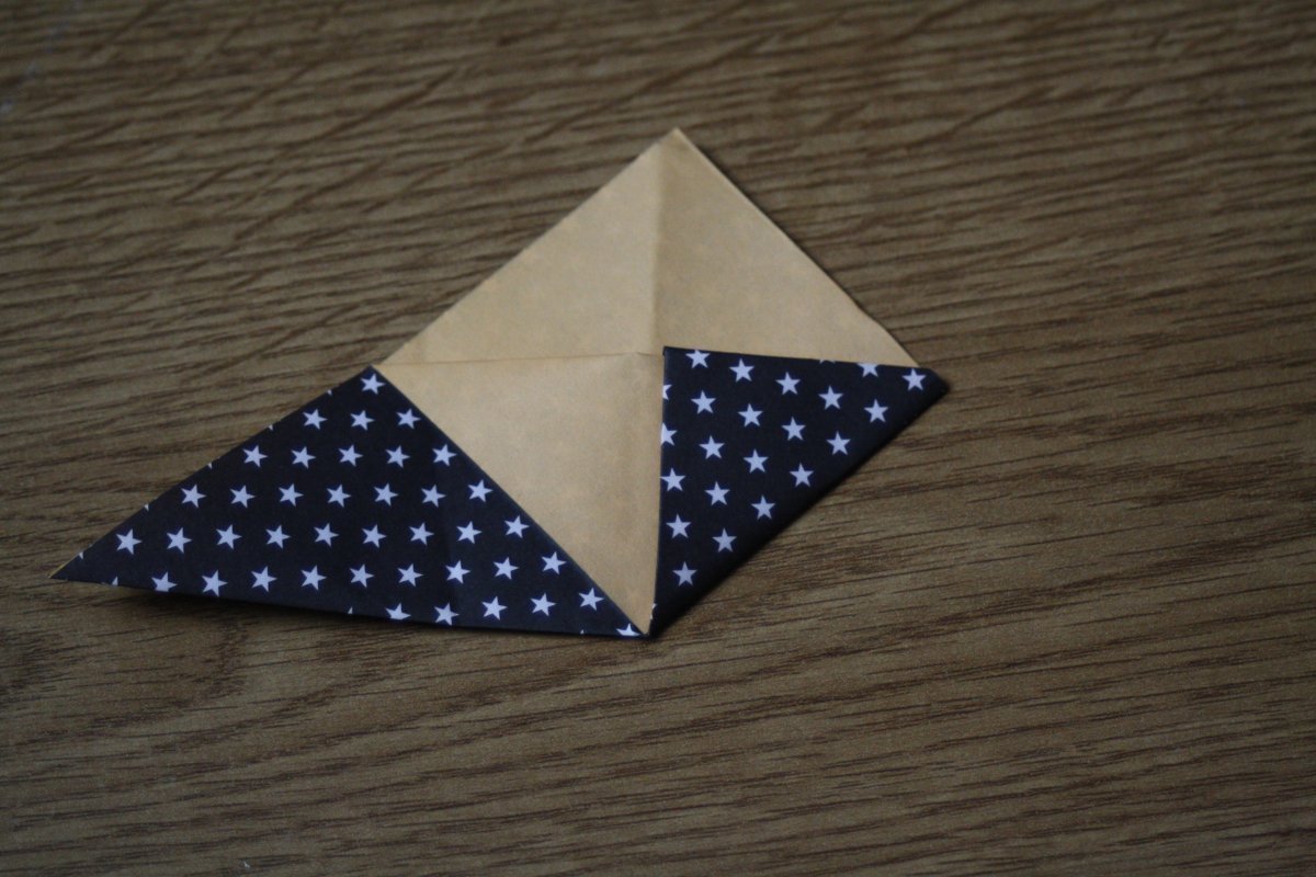 Origami_Etape5_fig.6_Bellefeegore.JPG