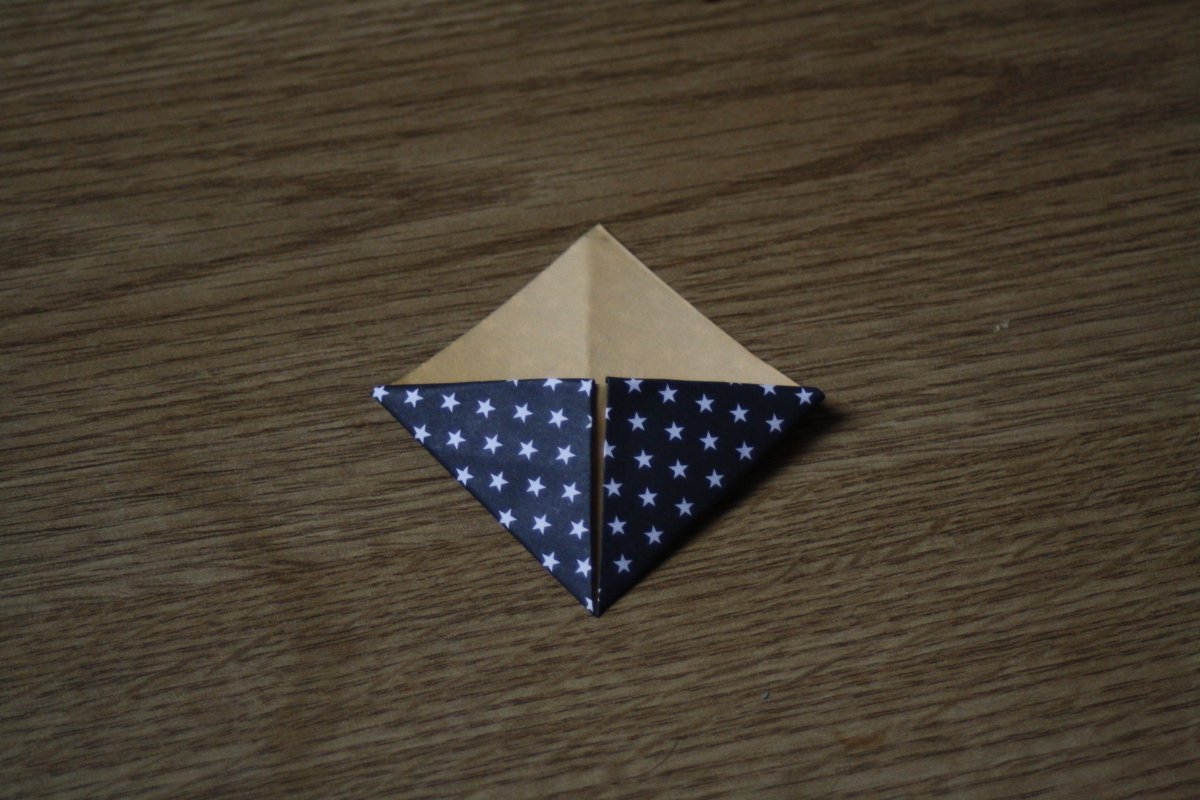 Origami_Etape5_fig.7_Bellefeegore.JPG