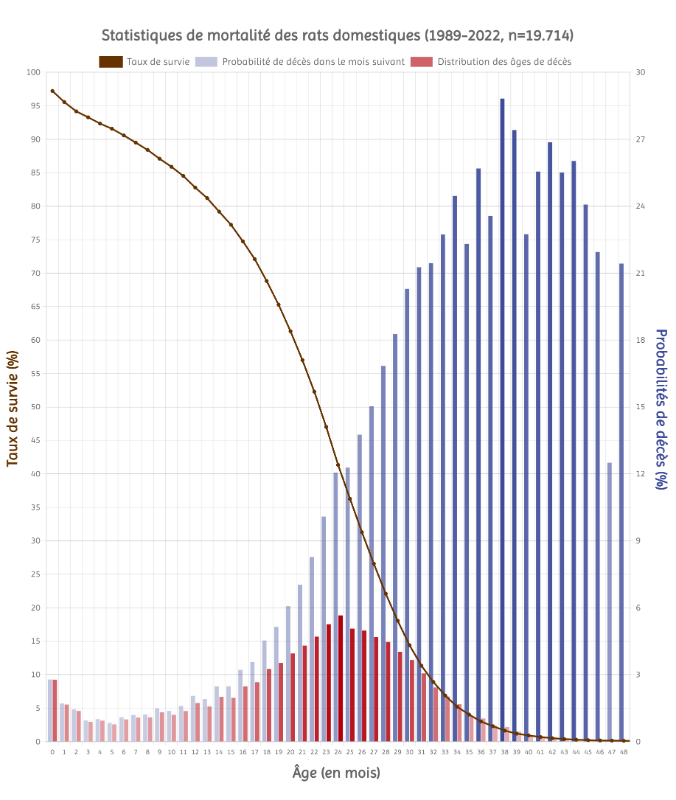 StatistiquesV2.png
